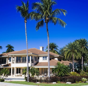 waterfront home with palm trees