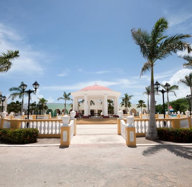 house with palm trees