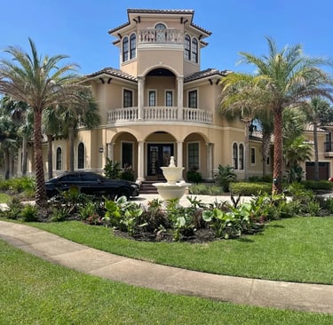 house with palm trees