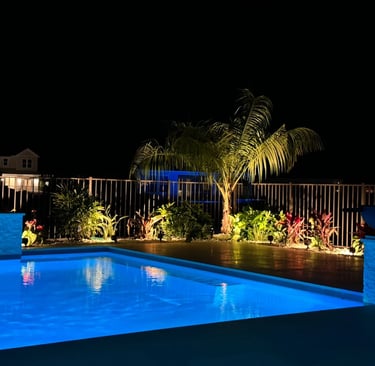 Illuminated backyard swimming pool at night with blue lighting and tropical landscape uplighting.