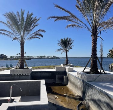 a large pool with a hot tub and palm trees