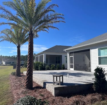 a palm tree in front of a house