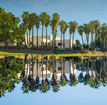 a large body of water with palm trees in the background