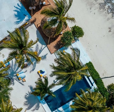 a pool with palm trees and a swimming pool