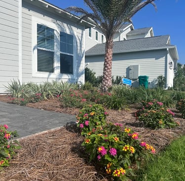 Modern white home with professional landscaping featuring pink and yellow lantana flowers and a palm tree.