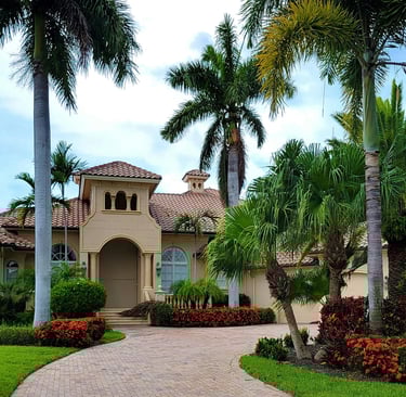 a house with a driveway and palm trees