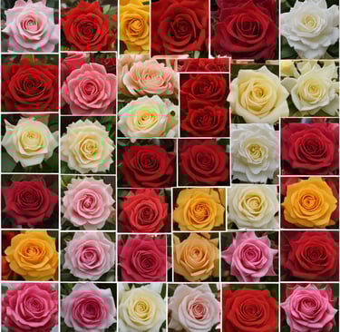 worm's-eye view photography of concrete building