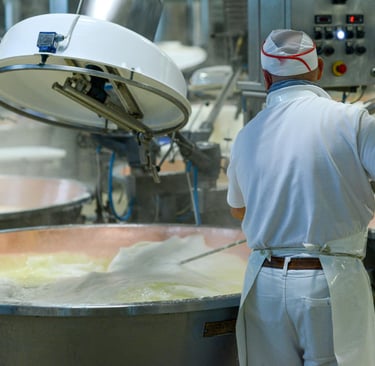 Cheesemaker stirring large copper vats of curdling milk during artisanal cheese production in a dairy.