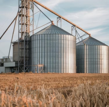 starch from grain silos