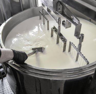 Stainless steel vat stirring fresh milk during the professional cheese making process.