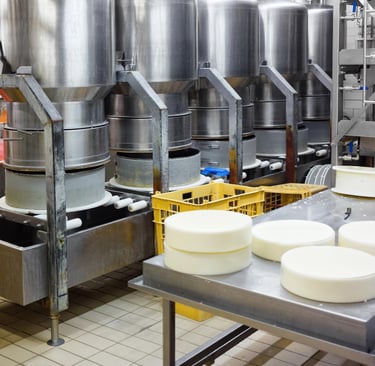 cheese making modern factory