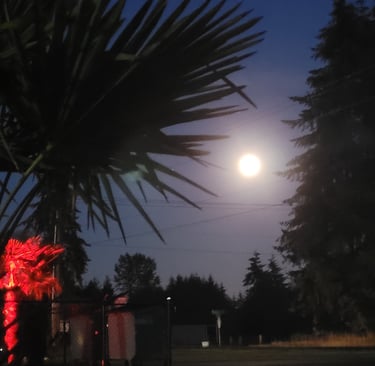 full moon