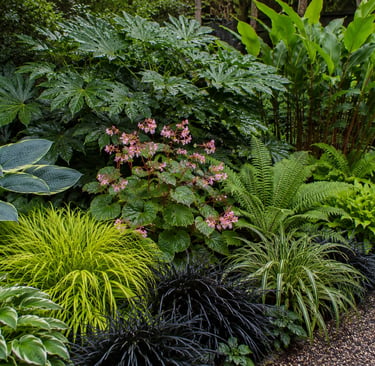 shade lanscape