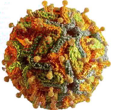 Detailed 3D medical illustration of a virus particle showing surface protein spikes and complex structure.