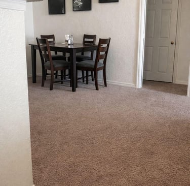 Rent ready apartment after move out cleanout service in Temple Terrace Florida