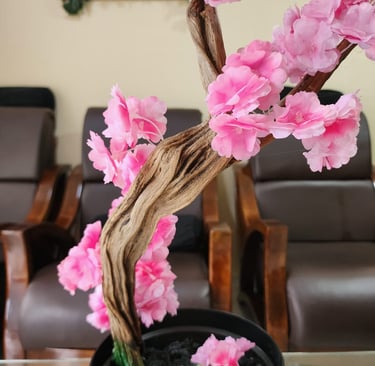 bonsai cerezo en una sala decorativa. jpeg