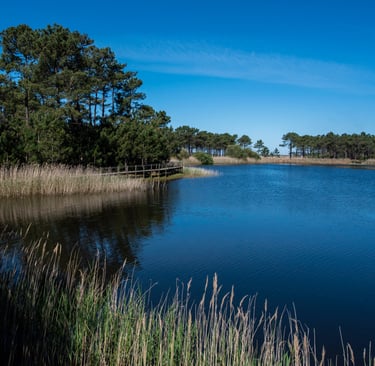 Lagoa de Pataias em Alcobaça, um refúgio natural na Costa de Prata ideal para famílias e amantes da 