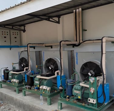 Proyek-Cold-Storage-Freezer-by-CV-MUDACOOL-INDONESIA