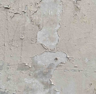 Historic plaster detail on a Broadmoor estate home, a material that requires a different mold restoration approach