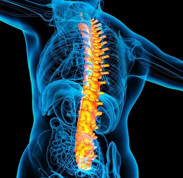 Dr. Memet Işık ile Ameliyatsız Çözümler Bel fıtığı kaderiniz değildir.