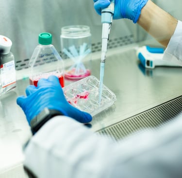 kök hücre tedavisi