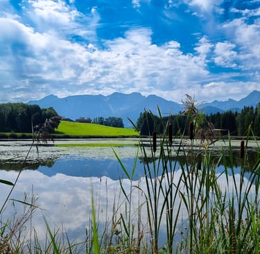 Karpfenangeln in Bayern mit AK Carpfishing
