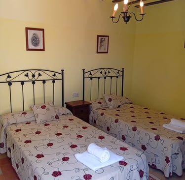 Hostales baratos Almagro. Hostal San Bartolome