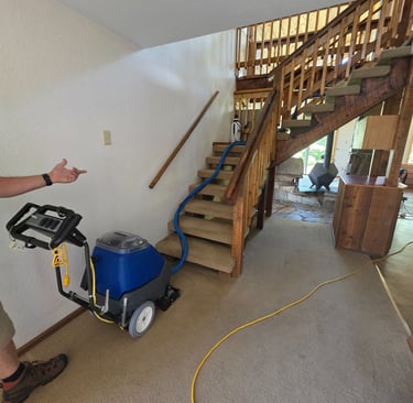 professional carpet cleaning and carpet stain removal services in lewis and clark county