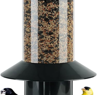 Hanging black metal bird feeder filled with mixed birdseed featuring a finch and woodpecker feeding.