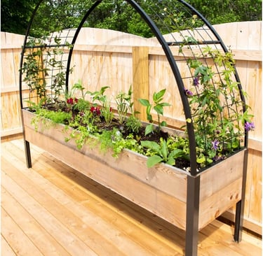 Raised garden bed with a metal trellis arch for climbing plants on a wooden deck.