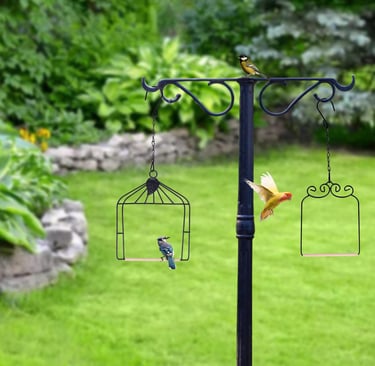 A blue jay and a yellow bird perched on hanging bird feeders in a lush green backyard garden.