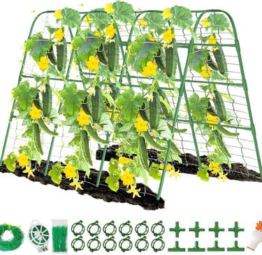 A-frame cucumber trellis for garden climbing plants with metal wire mesh and support accessories.