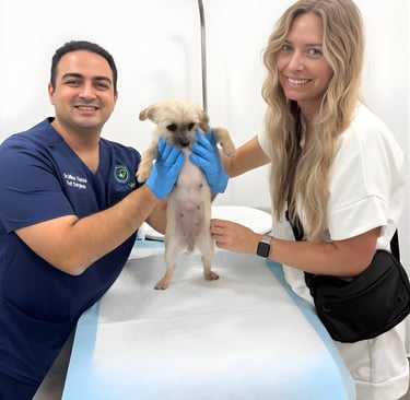 A male vet surgeon and a blonde woman smiling while holding a small puppy at a veterinary clinic.