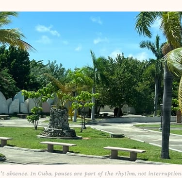 Quiet park with many shade trees and sculptures in city center