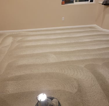 King Organic Clean carpet cleaning finished results 