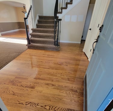 Photo of King Organic Clean just cleaned the Wood Floor Entry Way with clean brown carpet, clean flight of stairs, 