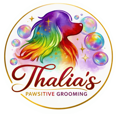 colorful dog with bubbles, Thalia's pawsitive grooming 