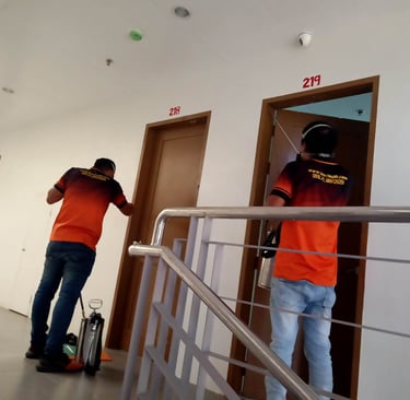 Professional pest control workers in orange uniforms spraying insecticide near apartment doors in a hallway.