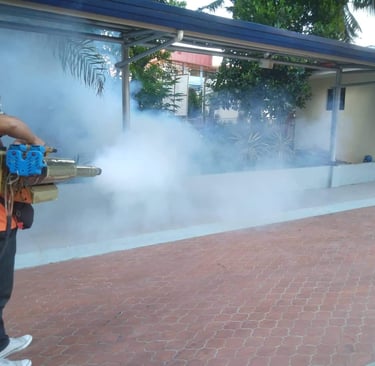A pest control professional uses a thermal fogging machine for mosquito in a school yard.