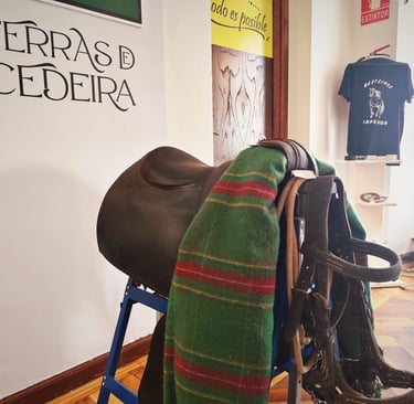 Exposiciones temporales Museo Terras de Cedeira