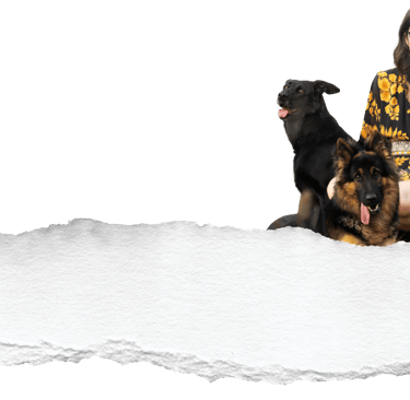 éducatrice canine spécialisée en agility, école du chiot et soins coopératifs en gironde