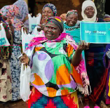 Schafschlachtung Qurbān, ʿAqīqah, Sadaqah, Shifaa (Heilung), Dankbarkeit, Kaffārah, Baraka, Hijra, H