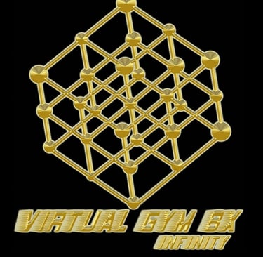 Virtual Gym Infinity