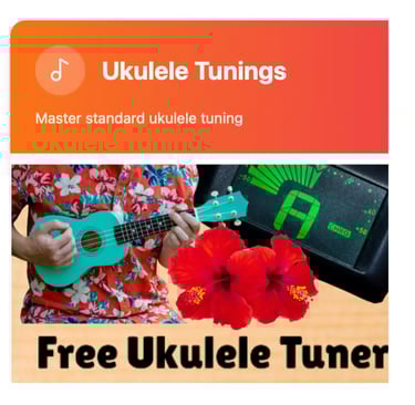 A person playing a blue ukulele with a digital chromatic tuner and red hibiscus flowers.
