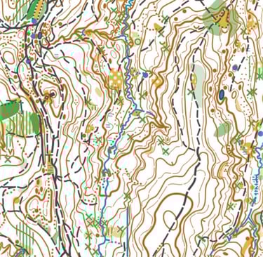 Primjer karte šumskog terena sa reljefnim detaljima
