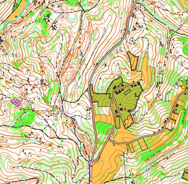 Primjer šumske karte 