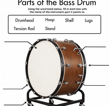 Parts of the Bass Drum