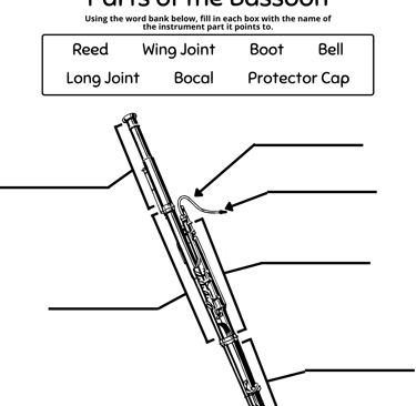 Parts of the Bassoon