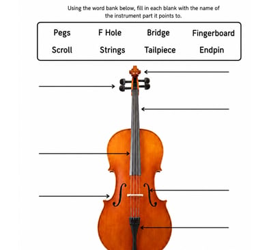 Parts of the Cello