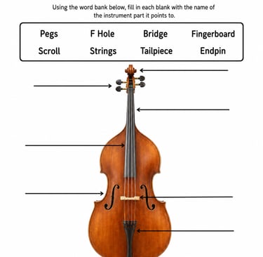 Parts of the Double Bass